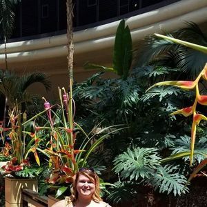 Meet your Posher, Shannon